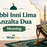 Rabbi Inni Lima Anzalta Dua Meaning